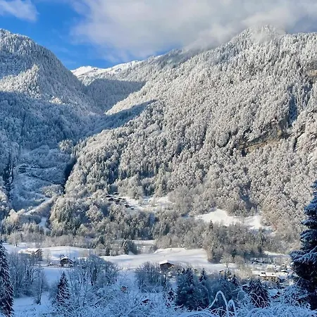 Chalet*** Au Pied D'une Prairie Face A La Montagne *